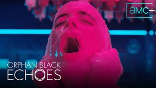 《黑色孤儿》：Echoes Teaser预告片| ft.Krysten Ritter | 2024年AMC、BBC美国和AMC首播+