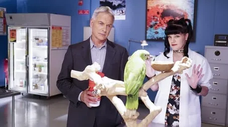 NCIS - Season 14 All Episode Intro Air Date Per3Episode