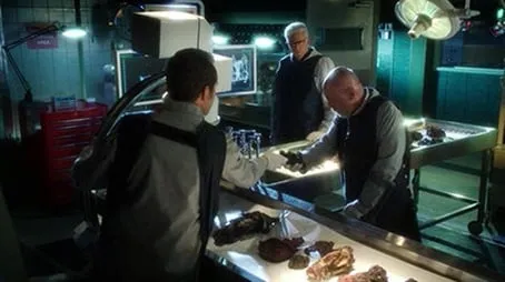 CSI: Crime Scene Investigation - Season 13 All Episode Intro Air Date Per10Episode